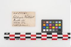 Foto von Schlüsselbein (NHMW-PRAE-024065a)